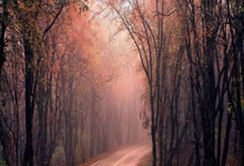 PG模拟器体育：亚冬会｜“雄鸡之冠”的冰雪荣耀2025-01-31.