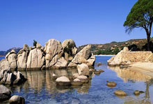 PG模拟器体育：[CBA]全明星周末长春上演.